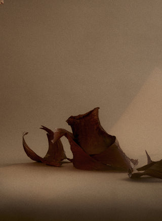 1917 Perfume Oil 10 ml