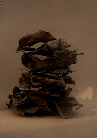 1917 Scented Candle 60g