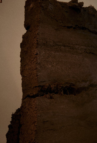 Deep Forest Scented Candle 170 g