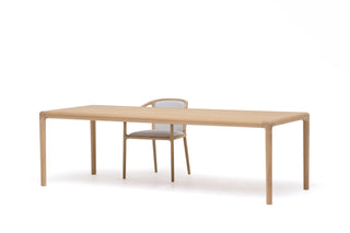 NF-DT01  Dining table