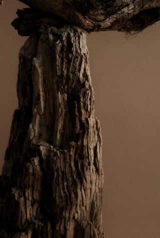 St. Paul's Perfume Oil 10 ml