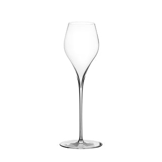 Pivo Champagne glass 245