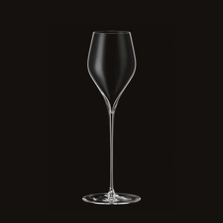 Pivo Champagne glass 245