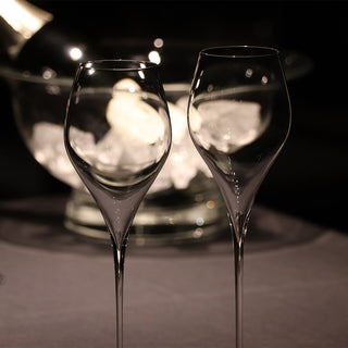 Pivo Champagne glass 245